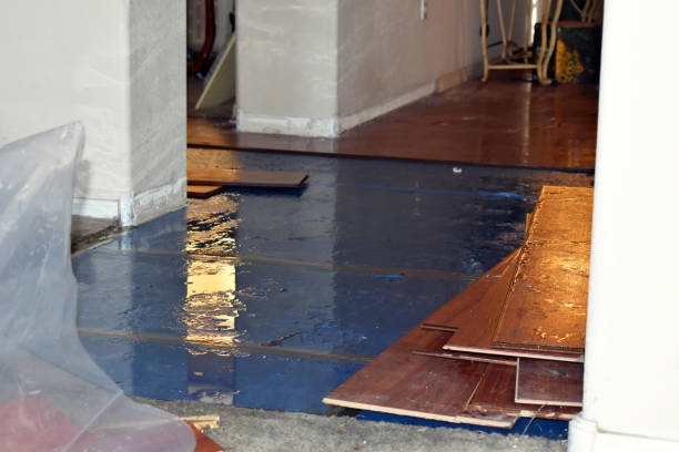 Professional Water Damage technician working in Townley, AL